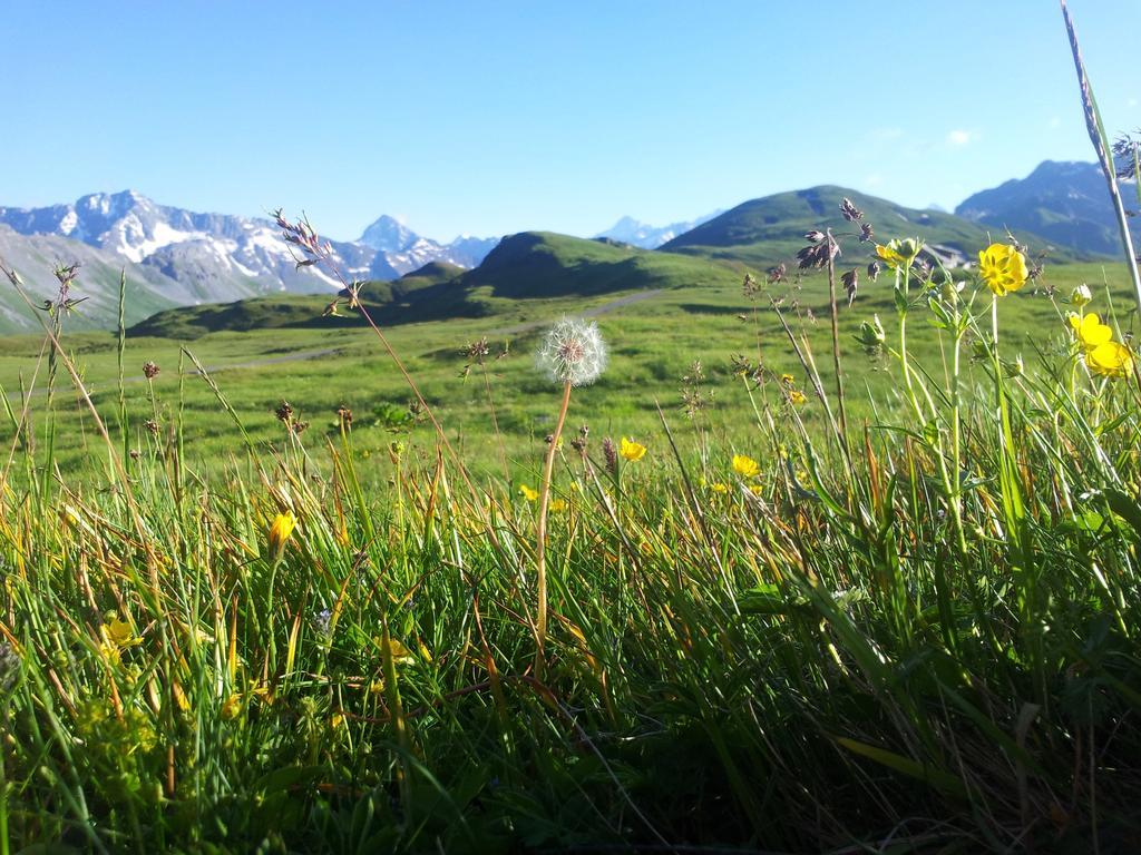 Berggasthaus Tannalp Frutt Εξωτερικό φωτογραφία